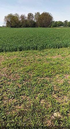 PLAC PLAVI  HORIZONTI 616000e